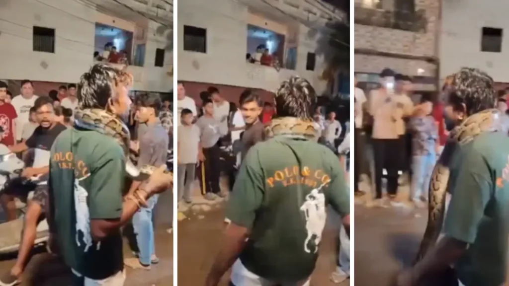 Haridwar में गले में 7 फीट का अजगर लटकाकर घूमता दिखा युवक, वन विभाग ने शुरू की जांच